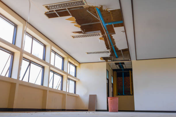 Best Basement water damage restoration  in Henderson, TN
