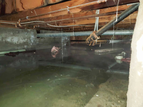 Best Water damage restoration near me  in Henderson, TN