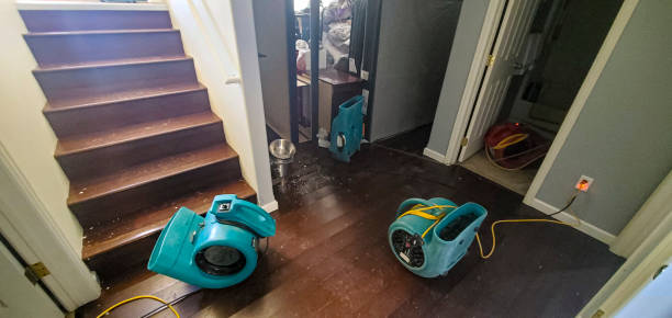 Water damage restoration experts in TN