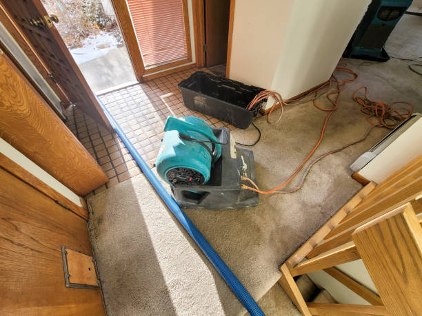 Water damage restoration mold remediation in TN