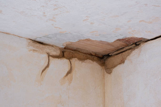 Best Flood restoration services  in Henderson, TN