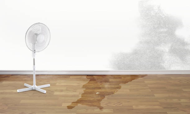 Best Flooded house restoration  in Henderson, TN