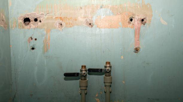 Best Ceiling water damage repair  in Henderson, TN