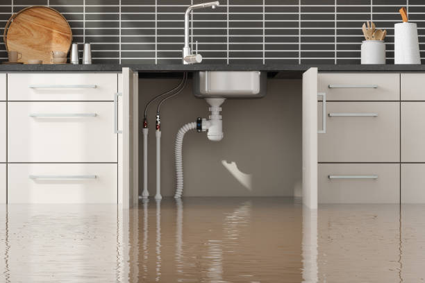 Best Professional water damage repair  in Henderson, TN