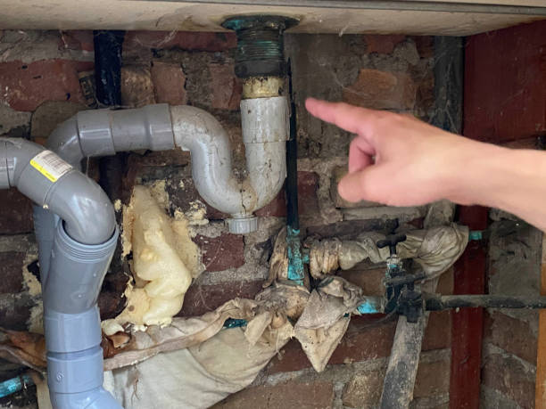 Best Fire Damage Restoration  in Henderson, TN